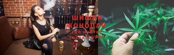 сатива Верхний Тагил