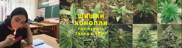 сатива Верхний Тагил
