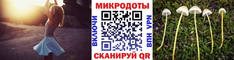 площадка как зайти  купить закладку  Курган  Псилоцибиновые грибы Magic Shrooms 